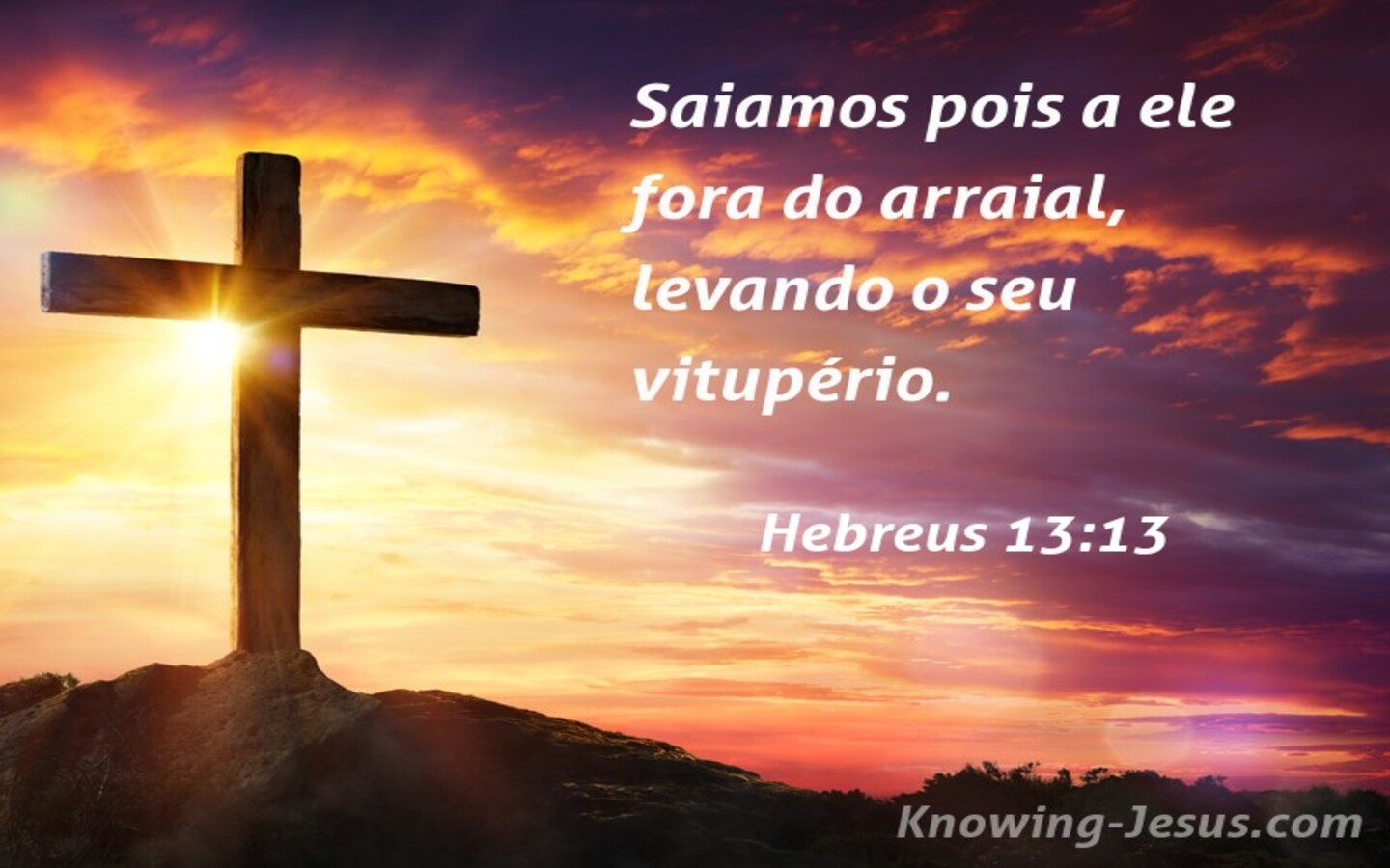 Hebreus 13:13 Abuso (navy)